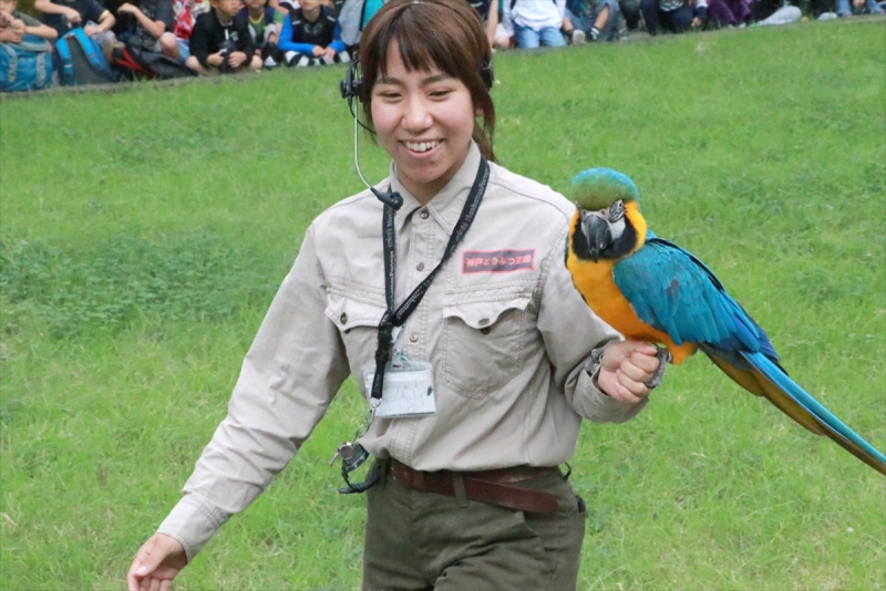 神戸どうぶつ王国『動物たちに挑戦！ 王国大運動会』 [画像]