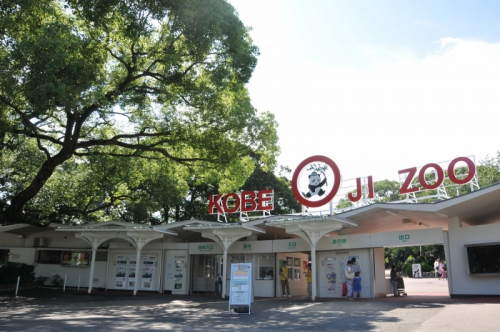 王子動物園「戌年」賀状版画コンクールの作品展と表彰式　神戸市灘区