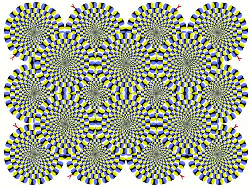 【図形】錯視の代表的な例「蛇の回転」（回転して見える動く錯視）／Ⓒ北岡明佳「蛇の回転」より