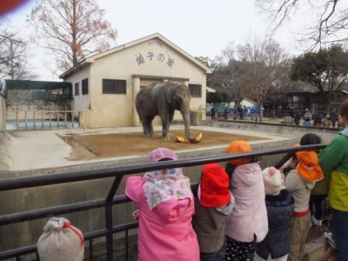 姫路市立動物園『動物たちに冬至のプレゼント！』　姫路市