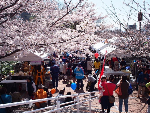 『第25回なだ桜まつり』神戸市灘区