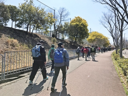 神戸総合公園『桜!ノルディックウォーキング』神戸市須磨区