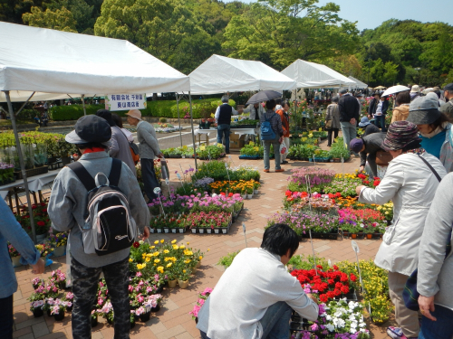 神戸市最大の花緑イベント『花のフェスタこうべ2018』神戸市須磨区
