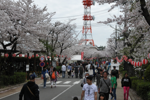 陸上自衛隊伊丹駐屯地『桜フェスタ2018』　伊丹市