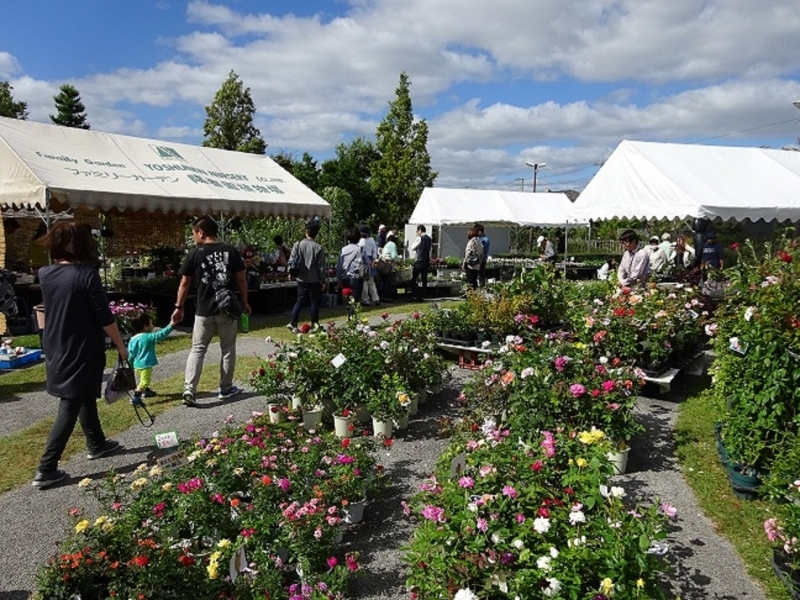 季節の草花や植木など約2万点『第132回宝塚植木まつり』　宝塚市 [画像]