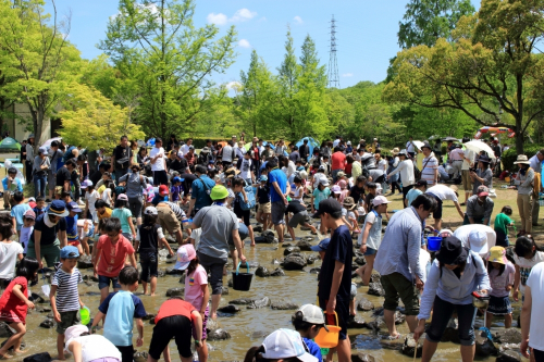 県立播磨中央公園『新緑 こどものまつり』加東市