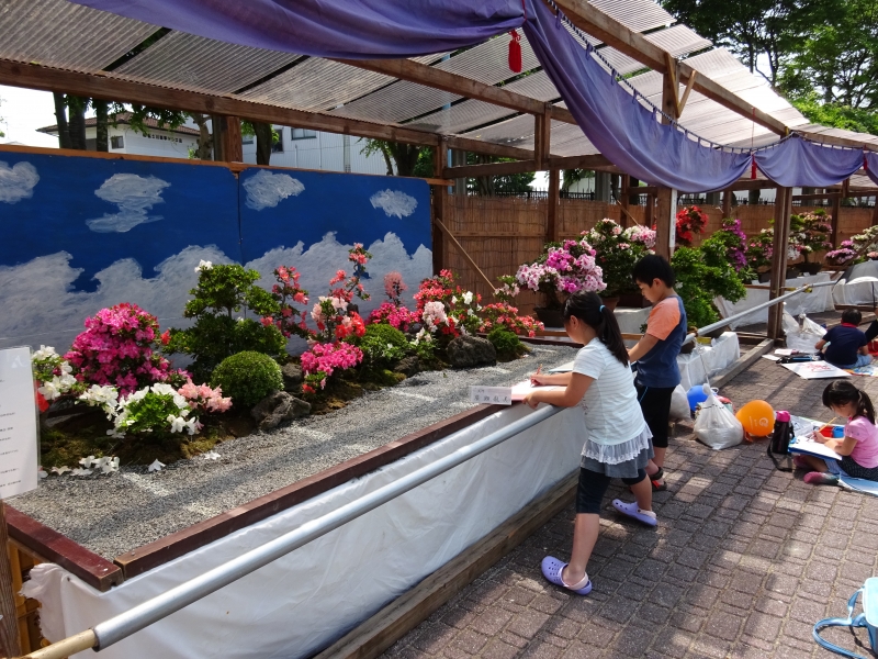 加東市花と緑のまつり『花き盆栽展』　加東市 [画像]