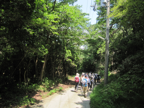 『第35回 六甲山の夏山びらき・グルーム祭に参加する シュラインロードから六甲山記念碑台コース』