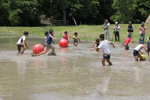あいな里山公園「泥んこプール」を開放　神戸市北区