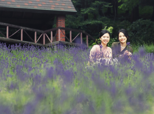 神戸布引ハーブ園『Lavender＆Rose Fair 2018』