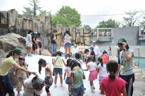王子動物園『第48回サマースクール』参加者募集　神戸市灘区