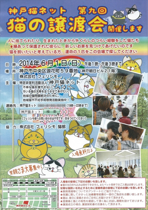 里親募集！神戸猫ネットがフェリシモ本社にて「猫の譲渡会」開催 [画像]