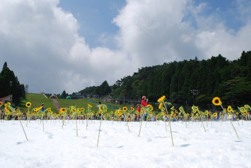 六甲山カンツリーハウス『真夏の雪まつり』オープニングイベント　神戸市灘区