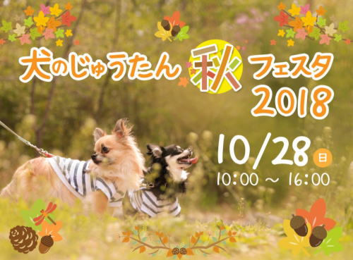 北神戸田園スポーツ公園『犬のじゅうたん　秋フェスタ2018』神戸市北区