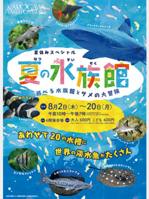 『夏の水族館～遊べる水族館とサメの大冒険～』　加古川市