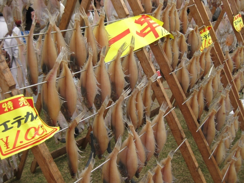  県立明石公園 千畳芝『兵庫県民農林漁業祭』明石市 [画像]