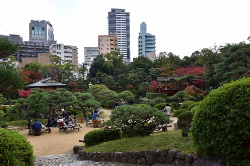 相楽園『日本庭園で紅葉を楽しむ会』　神戸市中央区 [画像]