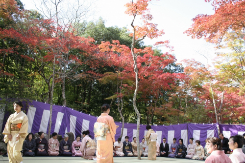 『豊公を偲ぶ有馬大茶会』 神戸市北区
