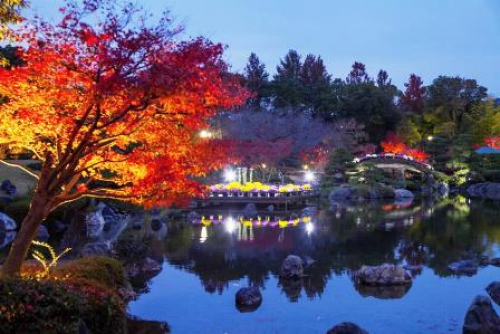 しあわせの村日本庭園　紅葉のライトアップ　神戸市北区