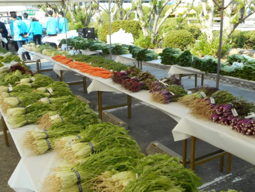 尼崎産の新鮮野菜を多数販売『第34回 尼崎市農業祭』尼崎市