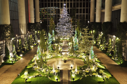 奇跡の星の植物館『クリスマスフラワーショー2018 北欧のクリスマス』淡路市