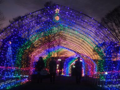 兵庫県立フラワーセンター 『花と光のクリスマス』加西市