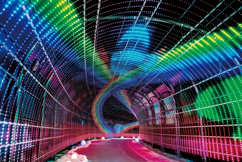 Wonder Tunnel