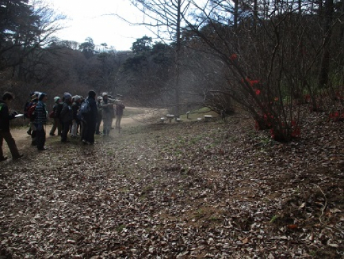 神戸市森林植物園『第9回自然観察講座「縁起植物を学ぼう」』参加者募集　神戸市北区