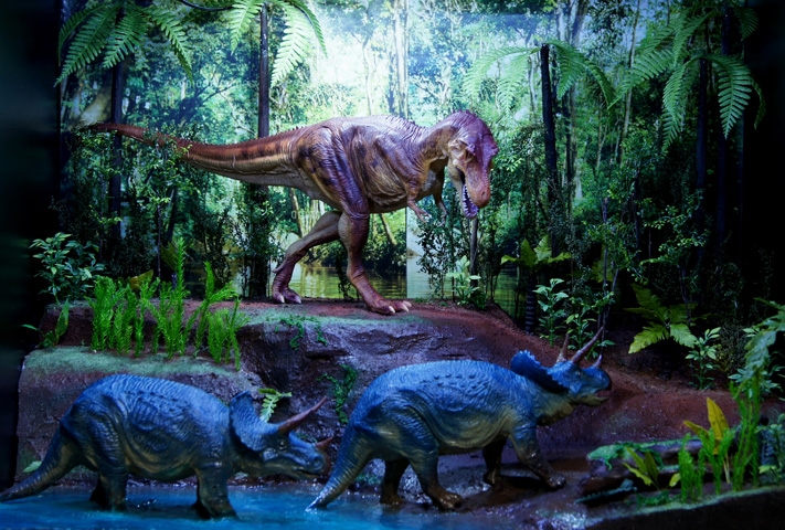 ティラノサウルスVSトリケラトプス