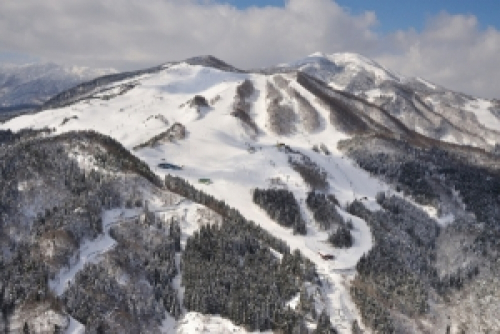 12月22日にスカイバレイスキー場がシーズンオープン　美方郡香美町