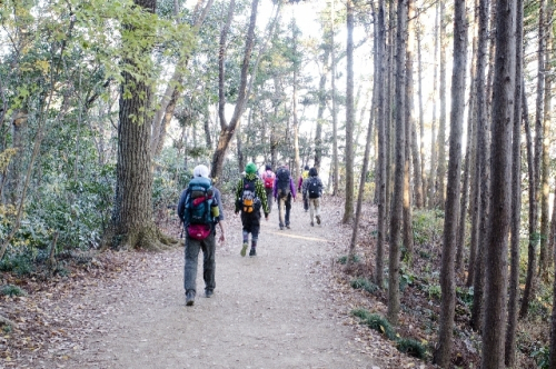 森林植物園『バレンタインハイキング～春待ちスタンプラリー～』　神戸市北区