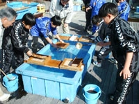 マリンピア神戸さかなの学校『乾のりづくりと巻き寿司体験』神戸市垂水区 [画像]