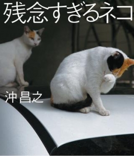沖昌之「残念すぎるネコ」写真展×神戸市営地下鉄スタンプラリー [画像]