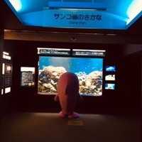 神戸市立須磨海浜水族園が動画共有SNS「Tik Tok（ティックトック）」の公式アカウントを開設 [画像]