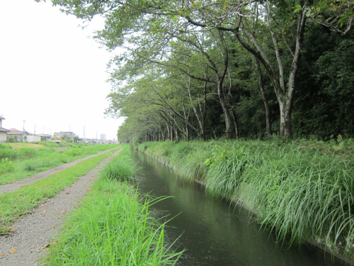 『日本3大水道「旧赤穂上水道」ハイキング』赤穂市