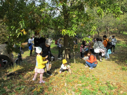 『森の子育てひろば in 尼崎の森中央緑地』　尼崎市