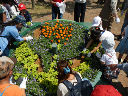 神戸市最大の花緑イベント『花のフェスタこうべ2019』神戸市須磨区