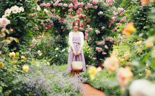 神戸布引ハーブ園／ロープウェイ『Lavender＆Rose Fair 2019』神戸市中央区