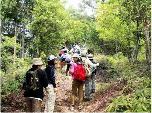 兵庫県立ゆめさきの森公園　5月プログラム　参加者募集中　姫路市