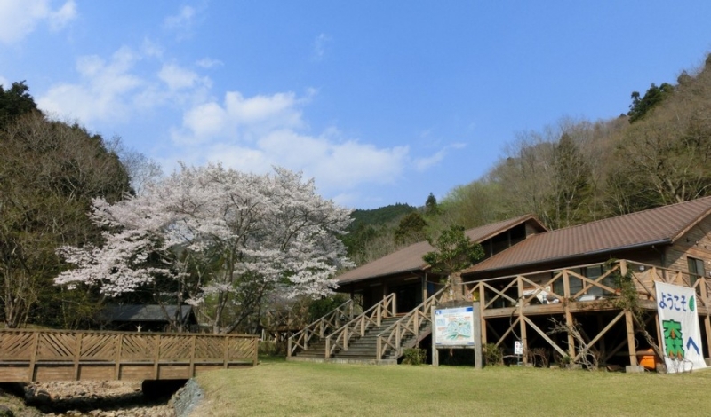 兵庫県立ゆめさきの森公園『ゆめさきの新緑まつり』姫路市 [画像]