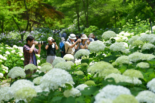 募集開始『神戸市立森林植物園フォトコンテスト』神戸市北区