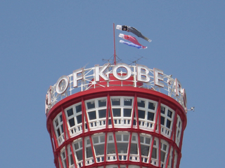 神戸ポートタワーに鯉のぼり登場　神戸市中央区 [画像]