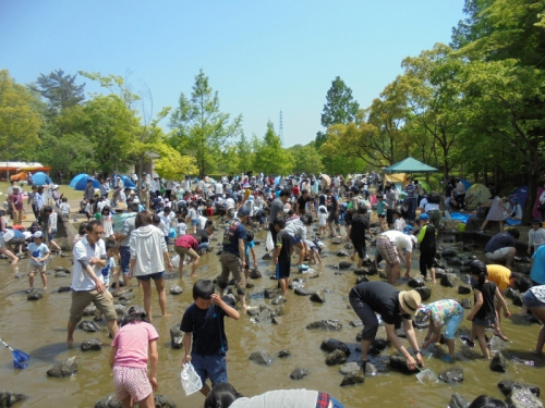 県立播磨中央公園『新緑 こどものまつり』　加東市