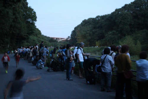 あいな里山公園『ホタルの夕べ　初夏を告げる生命のきらめき』神戸市北区