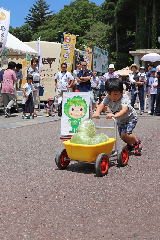 道の駅 神鍋高原『第11回 神鍋高原キャベツまつり』　豊岡市 [画像]