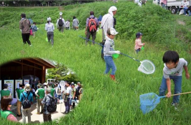 あいな里山公園『昆虫採集大会～コドモもオトナも虫あみをふろう～』　神戸市北区 [画像]