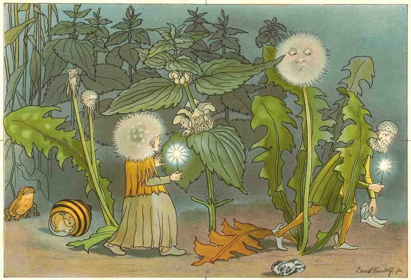 『花のメルヘン』より《夜のぬすびと》, 1898 年　小さな絵本美術館蔵