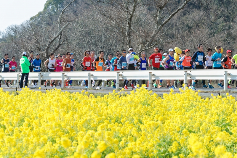 『世界遺産姫路城マラソン2020』ランナー募集 [画像]