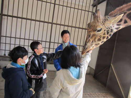 姫路市立動物園『動物園サマースクール』参加者募集　姫路市
