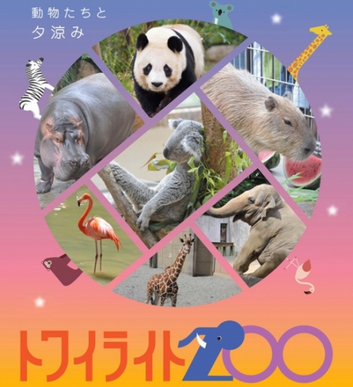神戸市立王子動物園『神戸トワイライトZOO』　神戸市灘区 [画像]